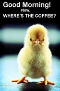 Image result for Spring Morning Coffee Meme