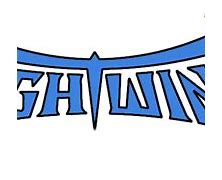 Image result for Nightwing Logo