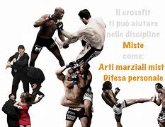 Image result for Martial Arts Fighting Styles