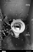 Image result for Broken Toilet Death