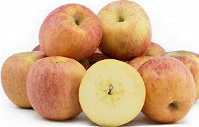 Image result for Top Quality Snow Apple