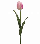 Image result for Fountain Tulip Spray 2.5 Inches