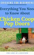 Image result for 4 X 8 Chicken Coops