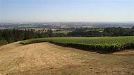 Bildergebnis für Trousse Chemise Pinot Noir Willamette Valley