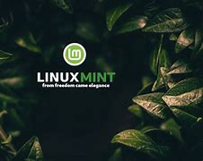 Image result for Linux Mint Art
