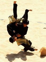Image result for Deadliest Style Martial Arts