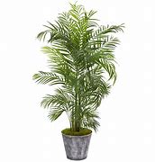 Image result for Artificial Areca Palm Plants