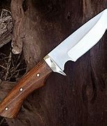 Image result for Buck Skinning Knife