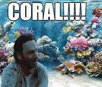 Image result for Walking Dead Coral Jokes