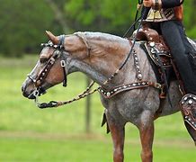 Image result for Horse Racing Saddle