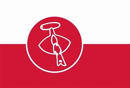 Image result for Communist Greenland Flag
