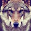 Image result for Wolf Wallpaper 4K