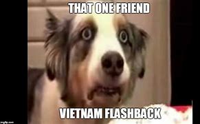 Image result for Funny Dog Pictures Vietnam