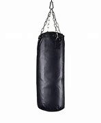 Image result for Boxing Bag