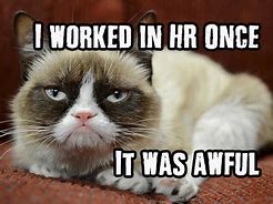 Image result for Cat HR Meme