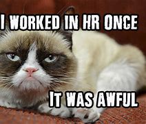Image result for Cat HR Meme