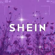 Image result for Shein Offensive Products