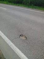 Image result for Pothole Repair Fail Meme