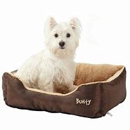 Image result for Deluxe Dog Beds