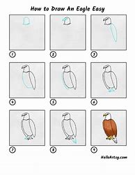 Image result for Eagle Drawing Step by Step