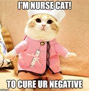 Image result for Animal Nurse Memes