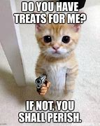 Image result for What Do You Want Gun Meme Cat