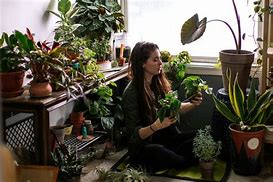 Image result for How to Take Care of Plants at Home