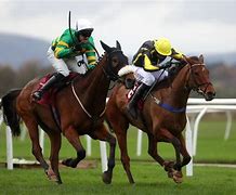 Image result for Bangor Racecourse