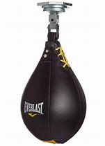 Image result for Boxer Speed Bag
