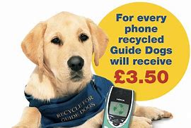 Image result for Dog Against Phone