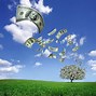 Image result for Money Tree Wallpaper