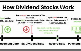 Image result for Dividend Stocks Definition