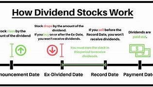 Image result for Dividend Stock and Functions