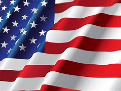 Image result for USA Flag Graphic