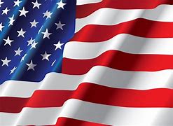 Image result for big us flags art