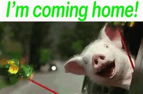 Image result for I'm Coming Home Meme