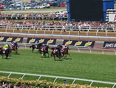 Image result for Wiinning Horse Melbourne Cup