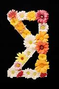 Image result for Floral Letter Z