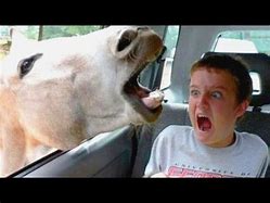 Image result for Funny Videos You Can Make