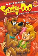 Image result for Scooby Doo DVD Disc
