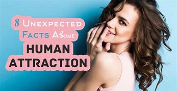 Image result for Human Attraction