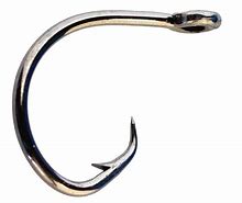 Image result for Mustad Circle Hooks