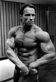 Image result for Arnold SW