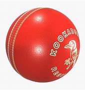 Image result for Kukabura Ball Cricket