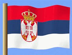 Image result for Serbian Flag Patch