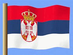 Image result for Old Serbian Flag