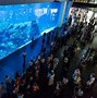 Image result for Biggest Fish Tank
