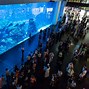 Image result for World's Largest Fish Tank
