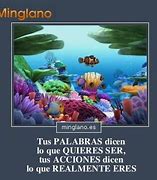 Image result for Image. Meme Lokal