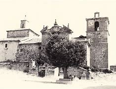 Image result for gualda